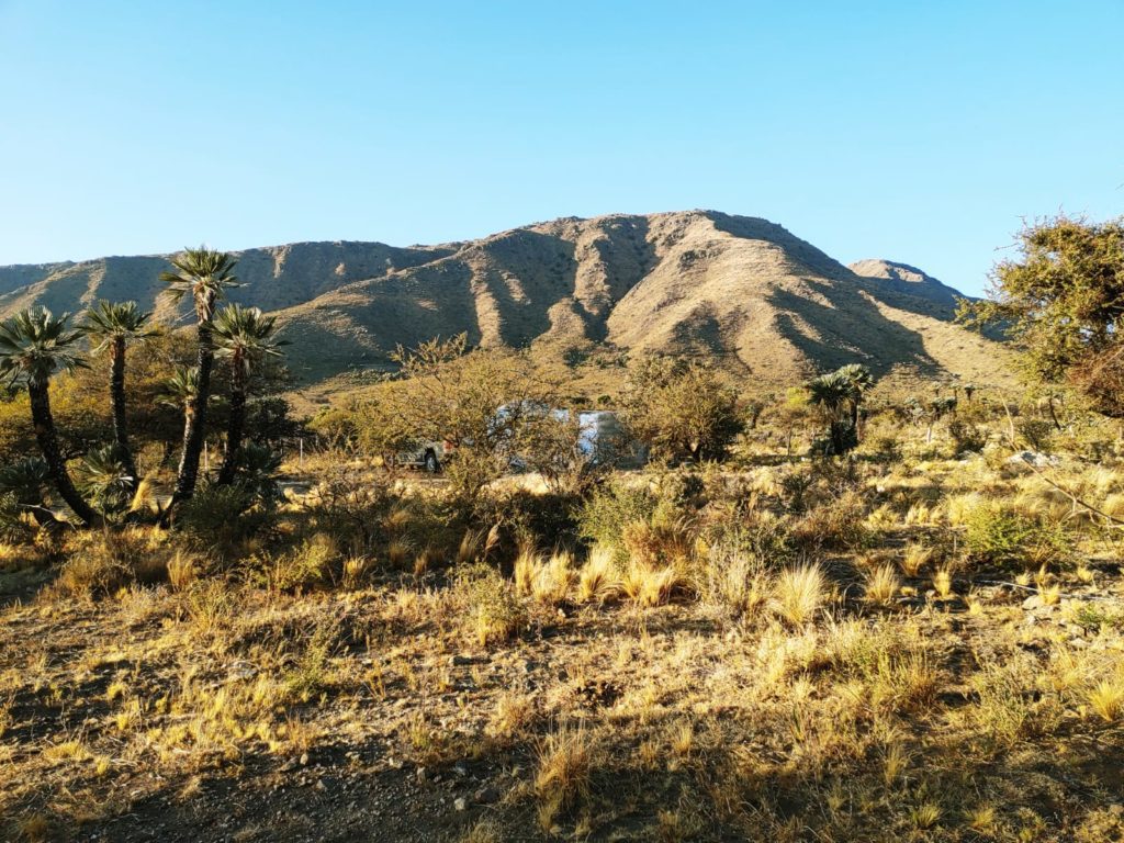 Gran valle serrano - San Luis